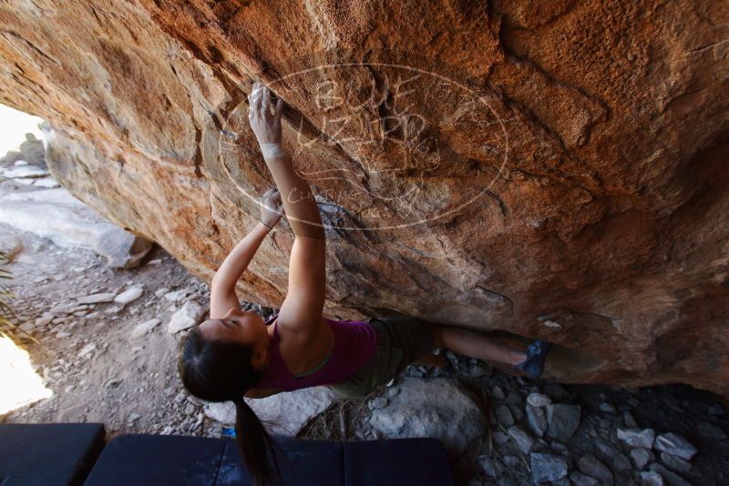 Bouldering in Hueco Tanks on 03/01/2019 with Blue Lizard Climbing and Yoga

Filename: SRM_20190301_1459030.jpg
Aperture: f/5.0
Shutter Speed: 1/200
Body: Canon EOS-1D Mark II
Lens: Canon EF 16-35mm f/2.8 L