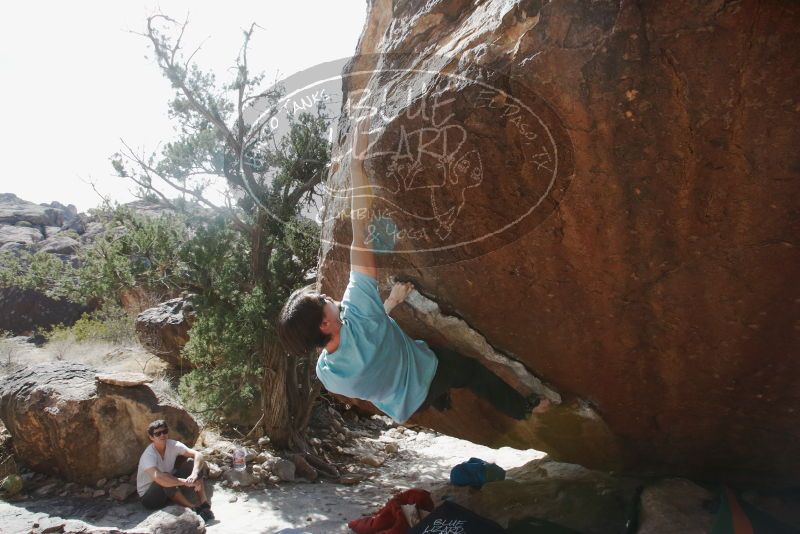 Bouldering in Hueco Tanks on 03/01/2019 with Blue Lizard Climbing and Yoga

Filename: SRM_20190301_1537540.jpg
Aperture: f/5.6
Shutter Speed: 1/640
Body: Canon EOS-1D Mark II
Lens: Canon EF 16-35mm f/2.8 L