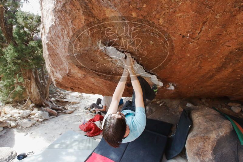 Bouldering in Hueco Tanks on 03/01/2019 with Blue Lizard Climbing and Yoga

Filename: SRM_20190301_1549230.jpg
Aperture: f/5.6
Shutter Speed: 1/200
Body: Canon EOS-1D Mark II
Lens: Canon EF 16-35mm f/2.8 L