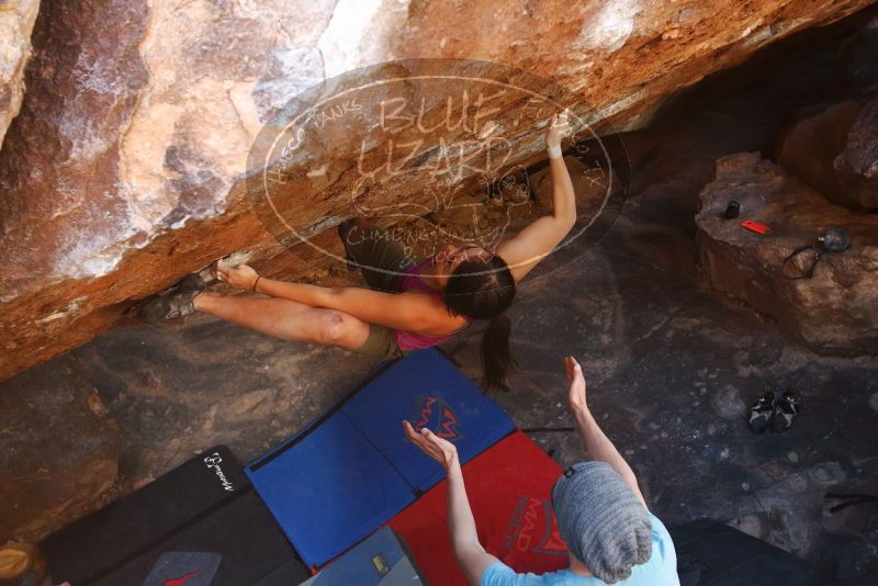 Bouldering in Hueco Tanks on 03/01/2019 with Blue Lizard Climbing and Yoga

Filename: SRM_20190301_1724050.jpg
Aperture: f/5.0
Shutter Speed: 1/200
Body: Canon EOS-1D Mark II
Lens: Canon EF 16-35mm f/2.8 L