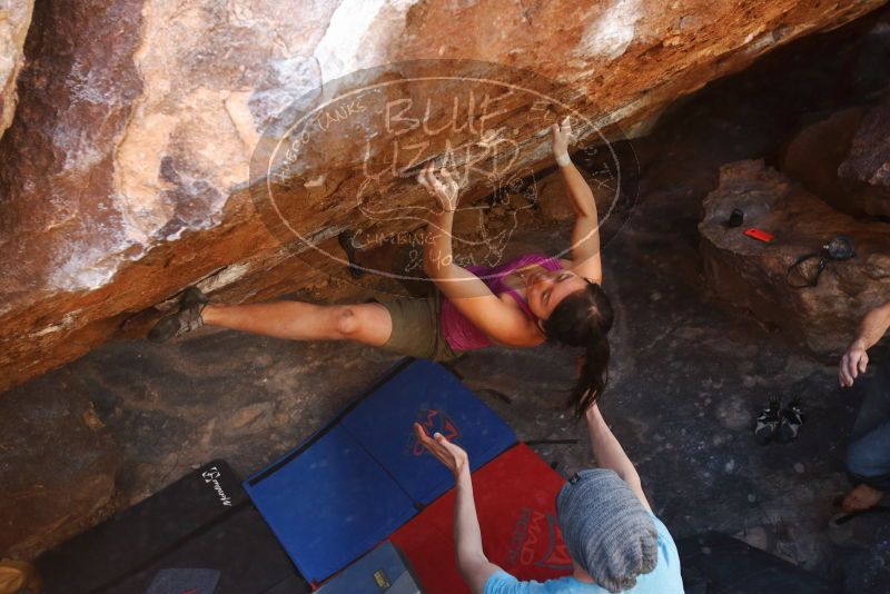 Bouldering in Hueco Tanks on 03/01/2019 with Blue Lizard Climbing and Yoga

Filename: SRM_20190301_1724051.jpg
Aperture: f/5.0
Shutter Speed: 1/250
Body: Canon EOS-1D Mark II
Lens: Canon EF 16-35mm f/2.8 L