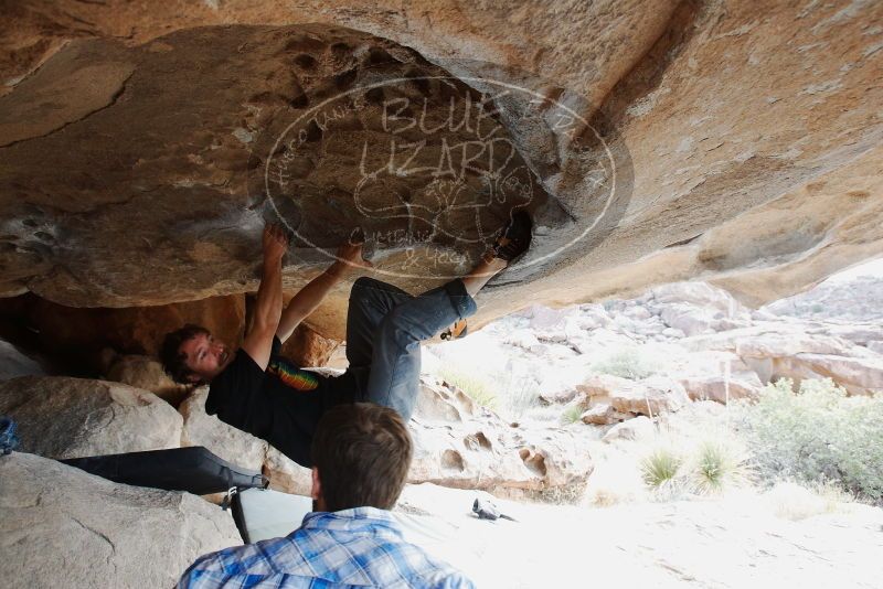 Bouldering in Hueco Tanks on 03/02/2019 with Blue Lizard Climbing and Yoga

Filename: SRM_20190302_1040500.jpg
Aperture: f/5.6
Shutter Speed: 1/160
Body: Canon EOS-1D Mark II
Lens: Canon EF 16-35mm f/2.8 L