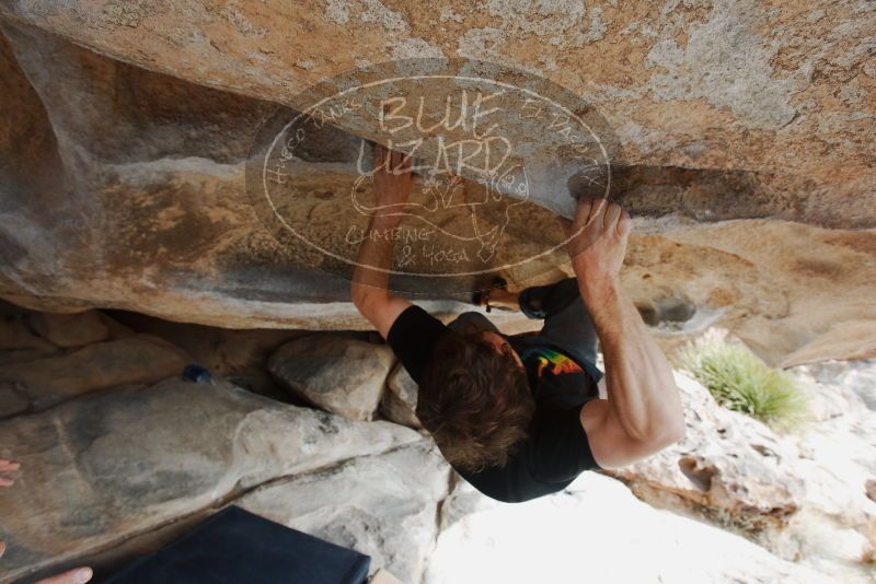 Bouldering in Hueco Tanks on 03/02/2019 with Blue Lizard Climbing and Yoga

Filename: SRM_20190302_1054230.jpg
Aperture: f/5.6
Shutter Speed: 1/250
Body: Canon EOS-1D Mark II
Lens: Canon EF 16-35mm f/2.8 L