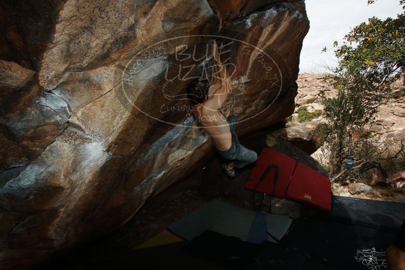 Bouldering in Hueco Tanks on 03/02/2019 with Blue Lizard Climbing and Yoga

Filename: SRM_20190302_1219050.jpg
Aperture: f/8.0
Shutter Speed: 1/250
Body: Canon EOS-1D Mark II
Lens: Canon EF 16-35mm f/2.8 L