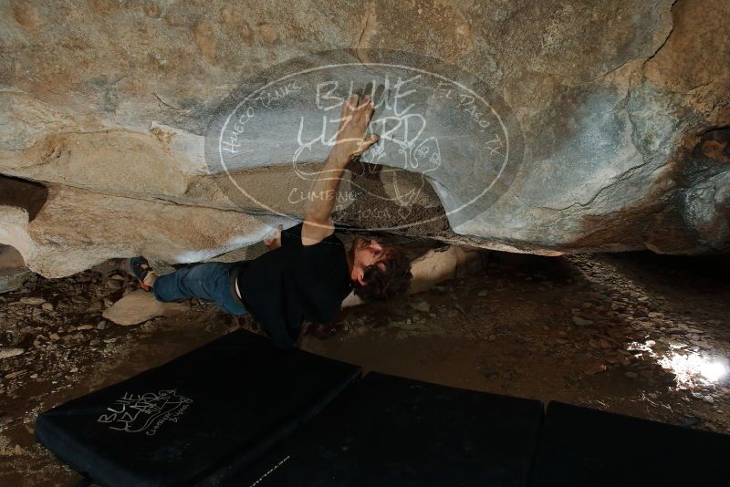 Bouldering in Hueco Tanks on 03/02/2019 with Blue Lizard Climbing and Yoga

Filename: SRM_20190302_1321250.jpg
Aperture: f/8.0
Shutter Speed: 1/250
Body: Canon EOS-1D Mark II
Lens: Canon EF 16-35mm f/2.8 L