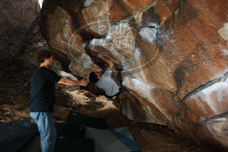 Bouldering in Hueco Tanks on 03/02/2019 with Blue Lizard Climbing and Yoga

Filename: SRM_20190302_1331150.jpg
Aperture: f/5.6
Shutter Speed: 1/250
Body: Canon EOS-1D Mark II
Lens: Canon EF 16-35mm f/2.8 L