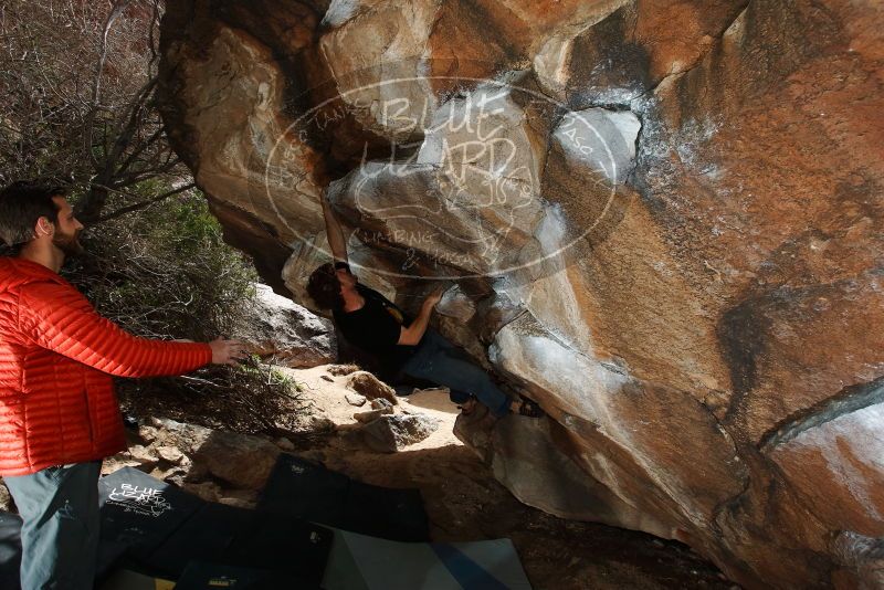 Bouldering in Hueco Tanks on 03/02/2019 with Blue Lizard Climbing and Yoga

Filename: SRM_20190302_1334430.jpg
Aperture: f/5.6
Shutter Speed: 1/250
Body: Canon EOS-1D Mark II
Lens: Canon EF 16-35mm f/2.8 L