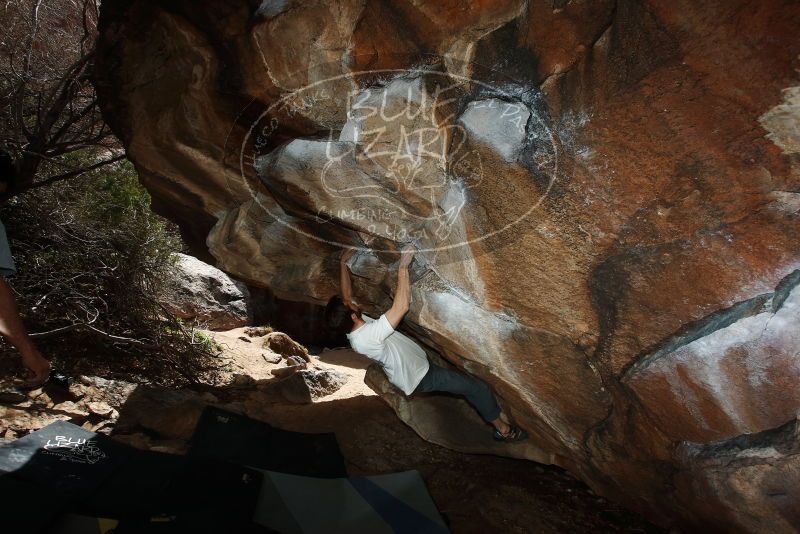 Bouldering in Hueco Tanks on 03/02/2019 with Blue Lizard Climbing and Yoga

Filename: SRM_20190302_1337350.jpg
Aperture: f/5.6
Shutter Speed: 1/250
Body: Canon EOS-1D Mark II
Lens: Canon EF 16-35mm f/2.8 L