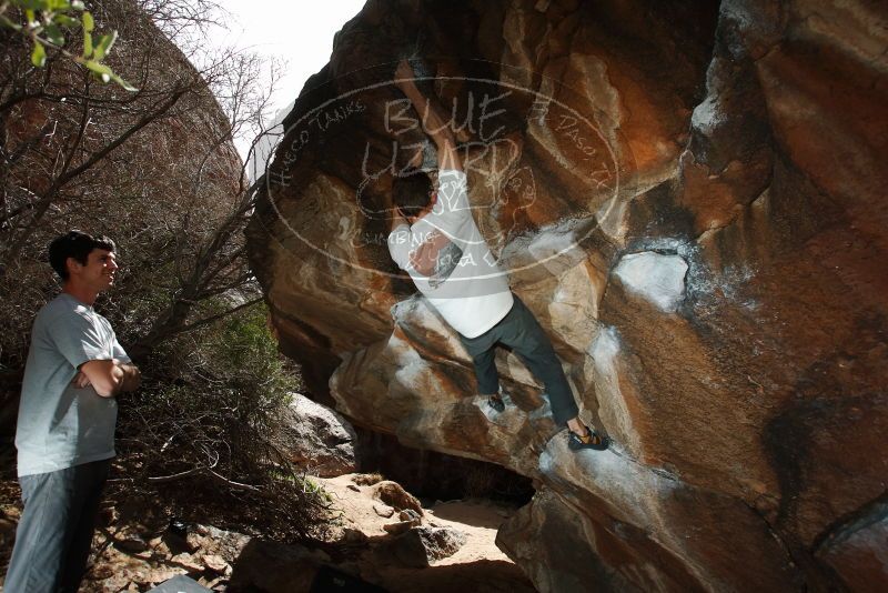 Bouldering in Hueco Tanks on 03/02/2019 with Blue Lizard Climbing and Yoga

Filename: SRM_20190302_1337580.jpg
Aperture: f/5.6
Shutter Speed: 1/250
Body: Canon EOS-1D Mark II
Lens: Canon EF 16-35mm f/2.8 L