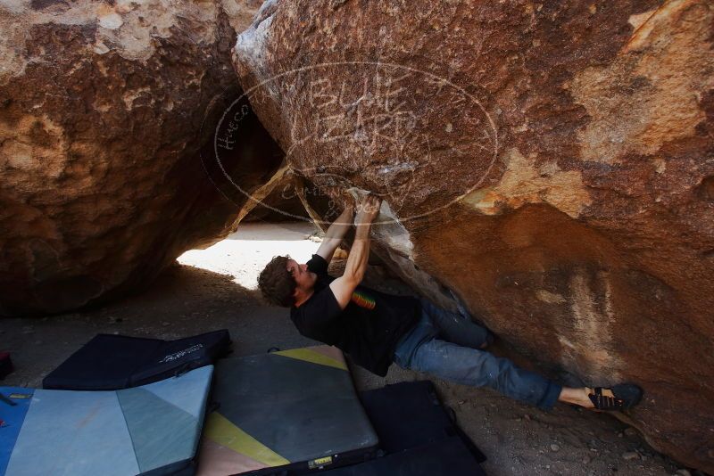 Bouldering in Hueco Tanks on 03/02/2019 with Blue Lizard Climbing and Yoga

Filename: SRM_20190302_1441230.jpg
Aperture: f/5.6
Shutter Speed: 1/250
Body: Canon EOS-1D Mark II
Lens: Canon EF 16-35mm f/2.8 L