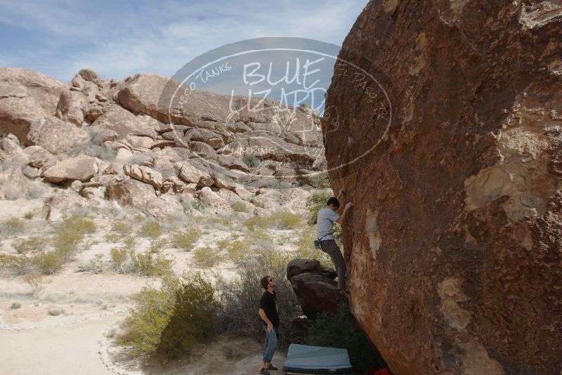 Bouldering in Hueco Tanks on 03/02/2019 with Blue Lizard Climbing and Yoga

Filename: SRM_20190302_1515570.jpg
Aperture: f/5.6
Shutter Speed: 1/250
Body: Canon EOS-1D Mark II
Lens: Canon EF 16-35mm f/2.8 L