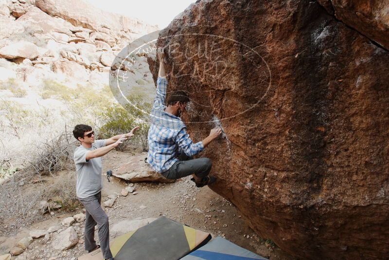 Bouldering in Hueco Tanks on 03/02/2019 with Blue Lizard Climbing and Yoga

Filename: SRM_20190302_1621280.jpg
Aperture: f/5.6
Shutter Speed: 1/250
Body: Canon EOS-1D Mark II
Lens: Canon EF 16-35mm f/2.8 L