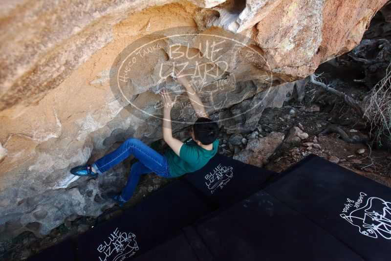 Bouldering in Hueco Tanks on 03/03/2019 with Blue Lizard Climbing and Yoga

Filename: SRM_20190303_1203420.jpg
Aperture: f/4.0
Shutter Speed: 1/250
Body: Canon EOS-1D Mark II
Lens: Canon EF 16-35mm f/2.8 L