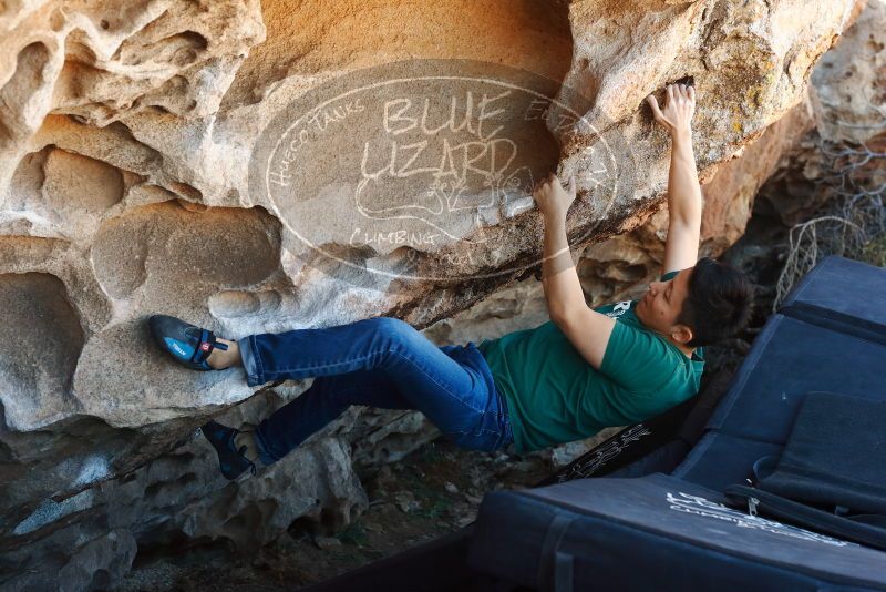 Bouldering in Hueco Tanks on 03/03/2019 with Blue Lizard Climbing and Yoga

Filename: SRM_20190303_1219260.jpg
Aperture: f/5.0
Shutter Speed: 1/250
Body: Canon EOS-1D Mark II
Lens: Canon EF 50mm f/1.8 II