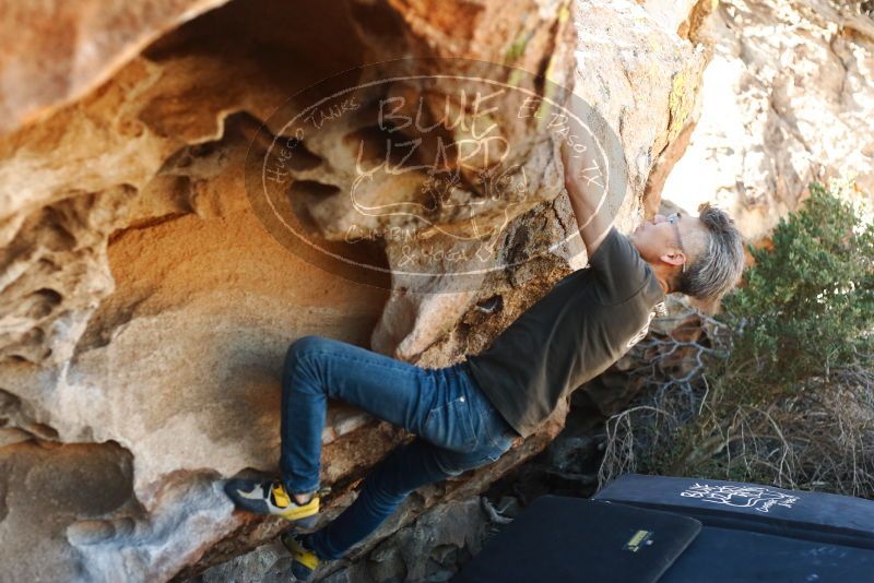 Bouldering in Hueco Tanks on 03/03/2019 with Blue Lizard Climbing and Yoga

Filename: SRM_20190303_1222140.jpg
Aperture: f/3.2
Shutter Speed: 1/500
Body: Canon EOS-1D Mark II
Lens: Canon EF 50mm f/1.8 II