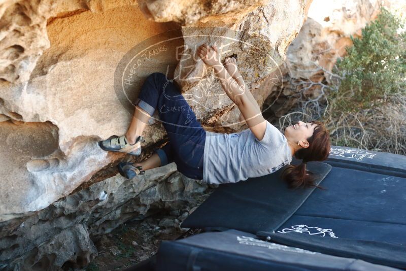 Bouldering in Hueco Tanks on 03/03/2019 with Blue Lizard Climbing and Yoga

Filename: SRM_20190303_1225390.jpg
Aperture: f/3.5
Shutter Speed: 1/320
Body: Canon EOS-1D Mark II
Lens: Canon EF 50mm f/1.8 II