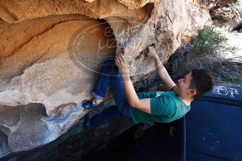 Bouldering in Hueco Tanks on 03/03/2019 with Blue Lizard Climbing and Yoga

Filename: SRM_20190303_1232570.jpg
Aperture: f/5.0
Shutter Speed: 1/500
Body: Canon EOS-1D Mark II
Lens: Canon EF 16-35mm f/2.8 L