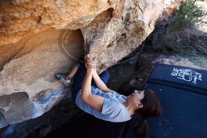 Bouldering in Hueco Tanks on 03/03/2019 with Blue Lizard Climbing and Yoga

Filename: SRM_20190303_1234370.jpg
Aperture: f/5.0
Shutter Speed: 1/500
Body: Canon EOS-1D Mark II
Lens: Canon EF 16-35mm f/2.8 L