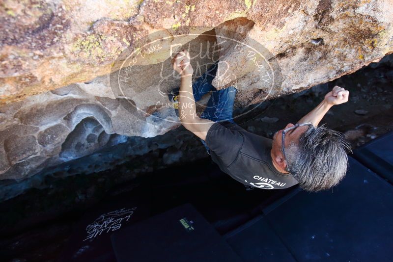 Bouldering in Hueco Tanks on 03/03/2019 with Blue Lizard Climbing and Yoga

Filename: SRM_20190303_1237461.jpg
Aperture: f/5.0
Shutter Speed: 1/500
Body: Canon EOS-1D Mark II
Lens: Canon EF 16-35mm f/2.8 L