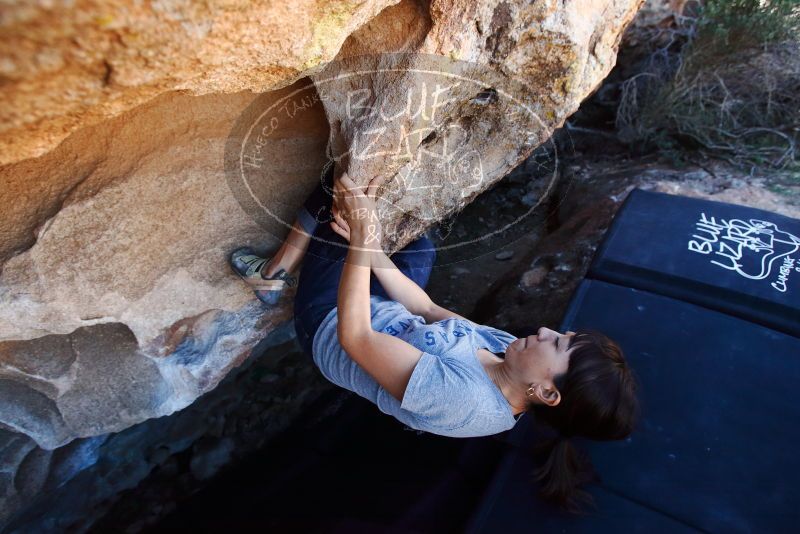 Bouldering in Hueco Tanks on 03/03/2019 with Blue Lizard Climbing and Yoga

Filename: SRM_20190303_1238350.jpg
Aperture: f/5.0
Shutter Speed: 1/500
Body: Canon EOS-1D Mark II
Lens: Canon EF 16-35mm f/2.8 L