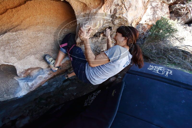 Bouldering in Hueco Tanks on 03/03/2019 with Blue Lizard Climbing and Yoga

Filename: SRM_20190303_1240470.jpg
Aperture: f/5.0
Shutter Speed: 1/500
Body: Canon EOS-1D Mark II
Lens: Canon EF 16-35mm f/2.8 L