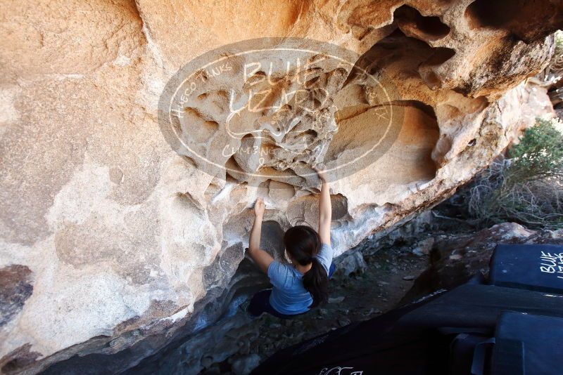 Bouldering in Hueco Tanks on 03/03/2019 with Blue Lizard Climbing and Yoga

Filename: SRM_20190303_1255490.jpg
Aperture: f/5.6
Shutter Speed: 1/160
Body: Canon EOS-1D Mark II
Lens: Canon EF 16-35mm f/2.8 L