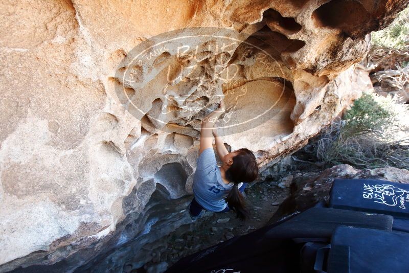 Bouldering in Hueco Tanks on 03/03/2019 with Blue Lizard Climbing and Yoga

Filename: SRM_20190303_1255520.jpg
Aperture: f/5.6
Shutter Speed: 1/160
Body: Canon EOS-1D Mark II
Lens: Canon EF 16-35mm f/2.8 L