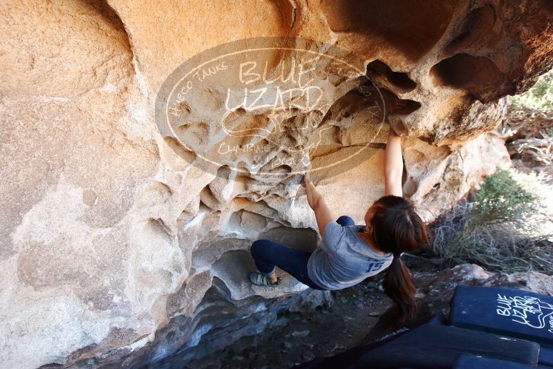 Bouldering in Hueco Tanks on 03/03/2019 with Blue Lizard Climbing and Yoga

Filename: SRM_20190303_1255540.jpg
Aperture: f/5.6
Shutter Speed: 1/160
Body: Canon EOS-1D Mark II
Lens: Canon EF 16-35mm f/2.8 L