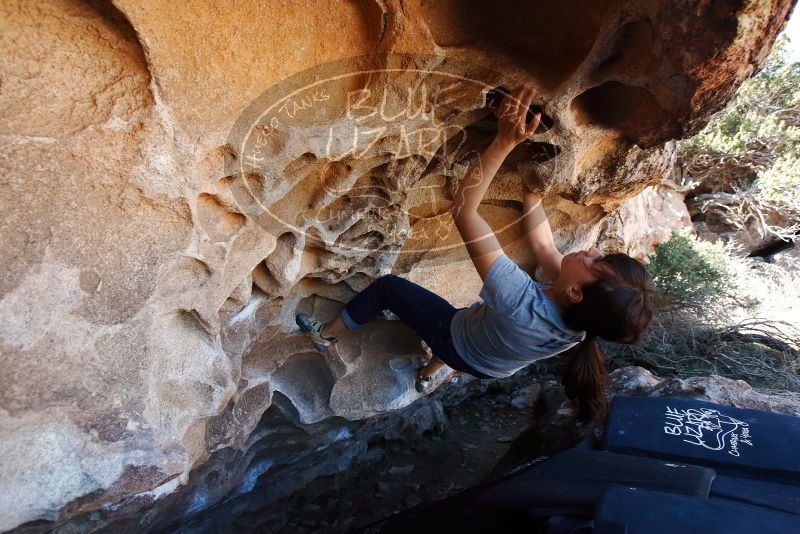 Bouldering in Hueco Tanks on 03/03/2019 with Blue Lizard Climbing and Yoga

Filename: SRM_20190303_1255570.jpg
Aperture: f/5.6
Shutter Speed: 1/250
Body: Canon EOS-1D Mark II
Lens: Canon EF 16-35mm f/2.8 L