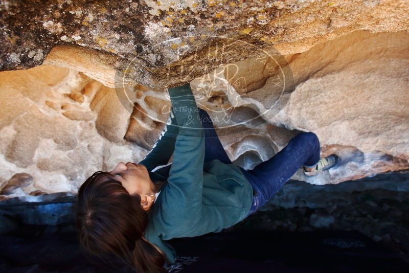 Bouldering in Hueco Tanks on 03/03/2019 with Blue Lizard Climbing and Yoga

Filename: SRM_20190303_1308100.jpg
Aperture: f/5.6
Shutter Speed: 1/200
Body: Canon EOS-1D Mark II
Lens: Canon EF 16-35mm f/2.8 L