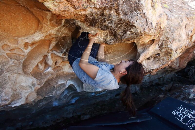 Bouldering in Hueco Tanks on 03/03/2019 with Blue Lizard Climbing and Yoga

Filename: SRM_20190303_1316190.jpg
Aperture: f/5.6
Shutter Speed: 1/320
Body: Canon EOS-1D Mark II
Lens: Canon EF 16-35mm f/2.8 L