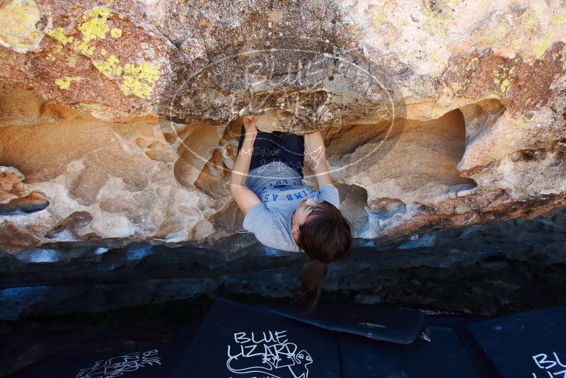 Bouldering in Hueco Tanks on 03/03/2019 with Blue Lizard Climbing and Yoga

Filename: SRM_20190303_1316290.jpg
Aperture: f/5.6
Shutter Speed: 1/320
Body: Canon EOS-1D Mark II
Lens: Canon EF 16-35mm f/2.8 L