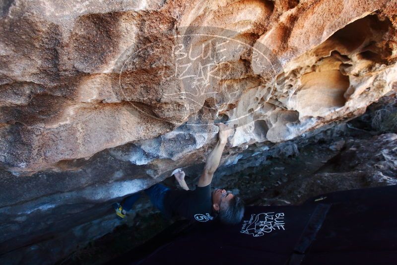 Bouldering in Hueco Tanks on 03/03/2019 with Blue Lizard Climbing and Yoga

Filename: SRM_20190303_1330050.jpg
Aperture: f/5.6
Shutter Speed: 1/250
Body: Canon EOS-1D Mark II
Lens: Canon EF 16-35mm f/2.8 L