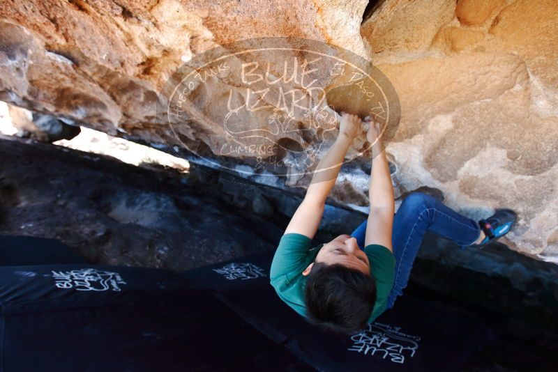 Bouldering in Hueco Tanks on 03/03/2019 with Blue Lizard Climbing and Yoga

Filename: SRM_20190303_1333130.jpg
Aperture: f/4.0
Shutter Speed: 1/400
Body: Canon EOS-1D Mark II
Lens: Canon EF 16-35mm f/2.8 L