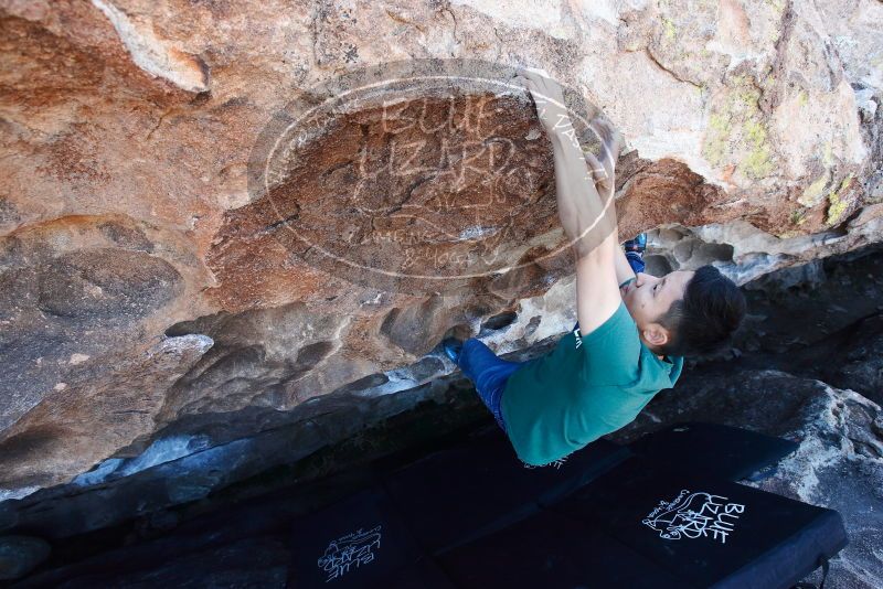 Bouldering in Hueco Tanks on 03/03/2019 with Blue Lizard Climbing and Yoga

Filename: SRM_20190303_1336570.jpg
Aperture: f/5.6
Shutter Speed: 1/200
Body: Canon EOS-1D Mark II
Lens: Canon EF 16-35mm f/2.8 L