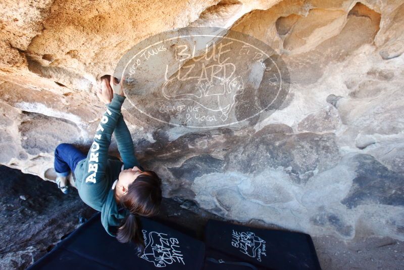 Bouldering in Hueco Tanks on 03/03/2019 with Blue Lizard Climbing and Yoga

Filename: SRM_20190303_1500270.jpg
Aperture: f/5.6
Shutter Speed: 1/125
Body: Canon EOS-1D Mark II
Lens: Canon EF 16-35mm f/2.8 L