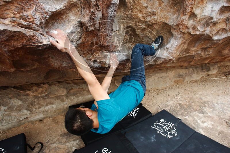 Bouldering in Hueco Tanks on 03/08/2019 with Blue Lizard Climbing and Yoga

Filename: SRM_20190308_1301320.jpg
Aperture: f/5.6
Shutter Speed: 1/200
Body: Canon EOS-1D Mark II
Lens: Canon EF 16-35mm f/2.8 L