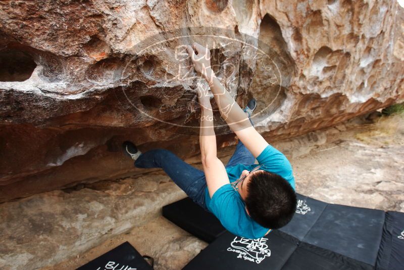 Bouldering in Hueco Tanks on 03/08/2019 with Blue Lizard Climbing and Yoga

Filename: SRM_20190308_1301420.jpg
Aperture: f/5.6
Shutter Speed: 1/200
Body: Canon EOS-1D Mark II
Lens: Canon EF 16-35mm f/2.8 L