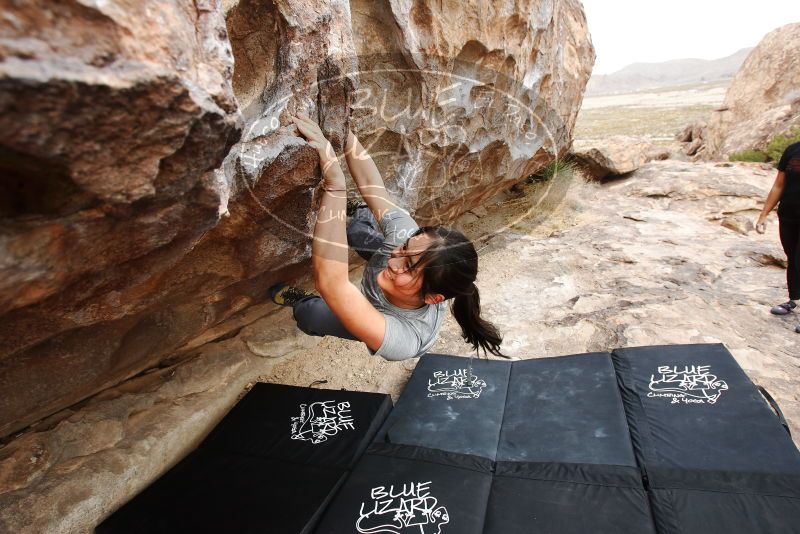 Bouldering in Hueco Tanks on 03/08/2019 with Blue Lizard Climbing and Yoga

Filename: SRM_20190308_1303030.jpg
Aperture: f/5.6
Shutter Speed: 1/250
Body: Canon EOS-1D Mark II
Lens: Canon EF 16-35mm f/2.8 L