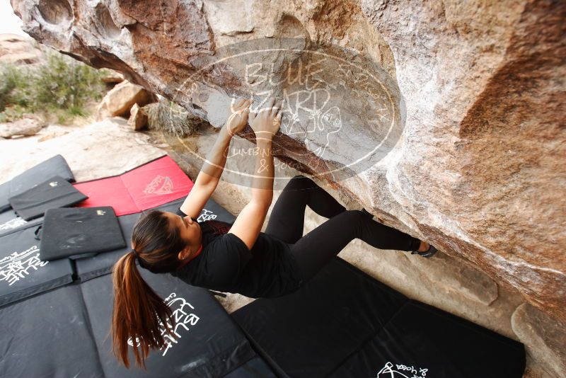 Bouldering in Hueco Tanks on 03/08/2019 with Blue Lizard Climbing and Yoga

Filename: SRM_20190308_1305280.jpg
Aperture: f/5.6
Shutter Speed: 1/100
Body: Canon EOS-1D Mark II
Lens: Canon EF 16-35mm f/2.8 L