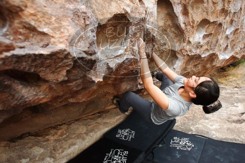 Bouldering in Hueco Tanks on 03/08/2019 with Blue Lizard Climbing and Yoga

Filename: SRM_20190308_1311230.jpg
Aperture: f/5.0
Shutter Speed: 1/400
Body: Canon EOS-1D Mark II
Lens: Canon EF 16-35mm f/2.8 L