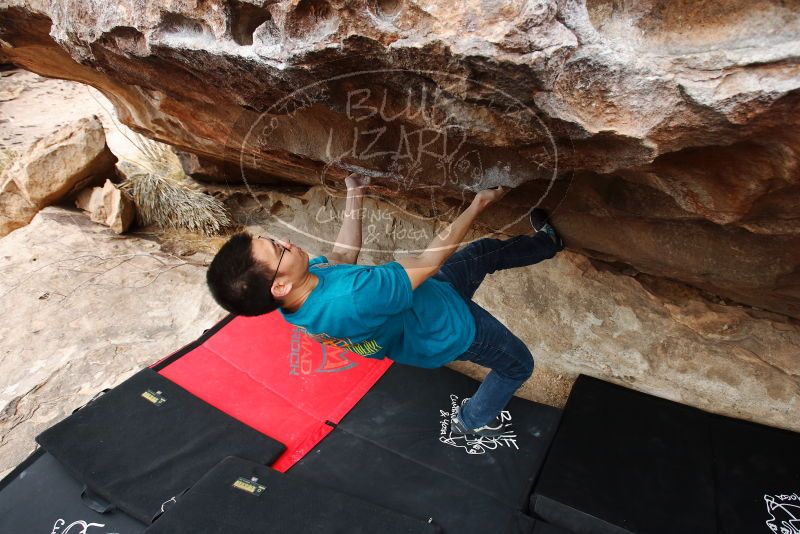 Bouldering in Hueco Tanks on 03/08/2019 with Blue Lizard Climbing and Yoga

Filename: SRM_20190308_1317270.jpg
Aperture: f/5.0
Shutter Speed: 1/320
Body: Canon EOS-1D Mark II
Lens: Canon EF 16-35mm f/2.8 L