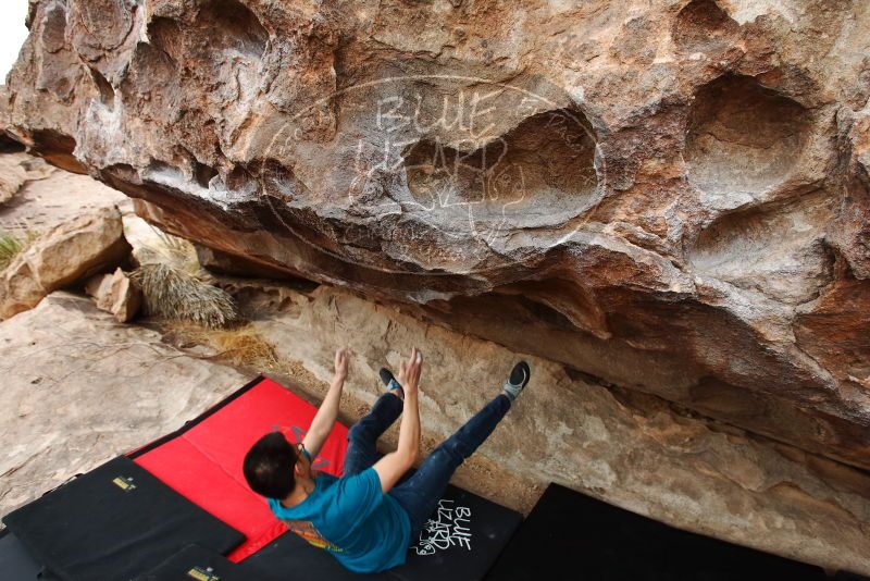 Bouldering in Hueco Tanks on 03/08/2019 with Blue Lizard Climbing and Yoga

Filename: SRM_20190308_1319440.jpg
Aperture: f/5.6
Shutter Speed: 1/320
Body: Canon EOS-1D Mark II
Lens: Canon EF 16-35mm f/2.8 L