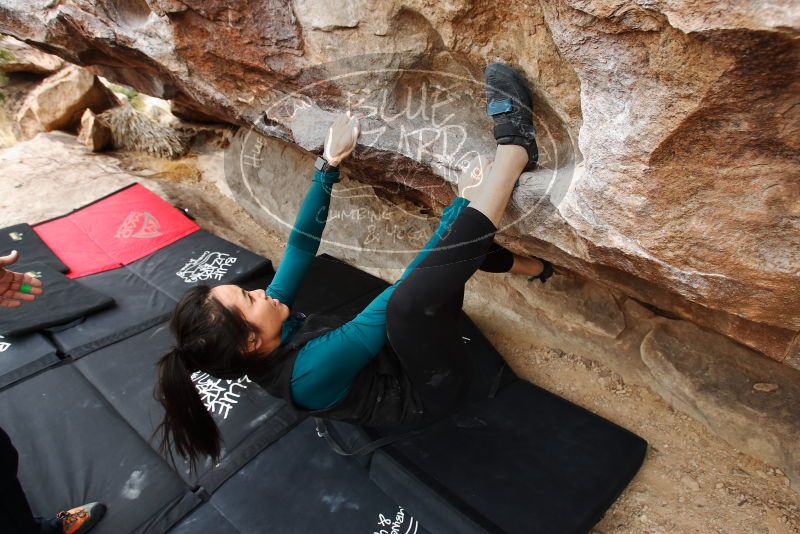 Bouldering in Hueco Tanks on 03/08/2019 with Blue Lizard Climbing and Yoga

Filename: SRM_20190308_1326530.jpg
Aperture: f/5.6
Shutter Speed: 1/160
Body: Canon EOS-1D Mark II
Lens: Canon EF 16-35mm f/2.8 L