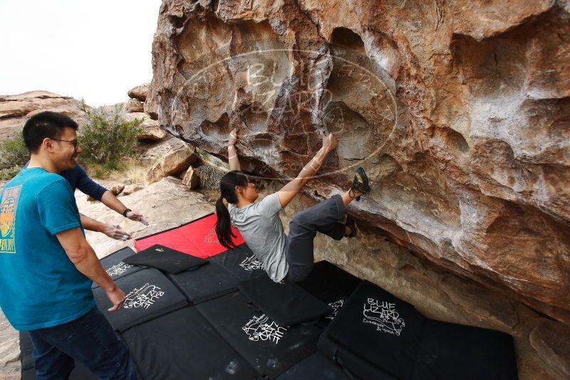 Bouldering in Hueco Tanks on 03/08/2019 with Blue Lizard Climbing and Yoga

Filename: SRM_20190308_1334410.jpg
Aperture: f/5.6
Shutter Speed: 1/500
Body: Canon EOS-1D Mark II
Lens: Canon EF 16-35mm f/2.8 L