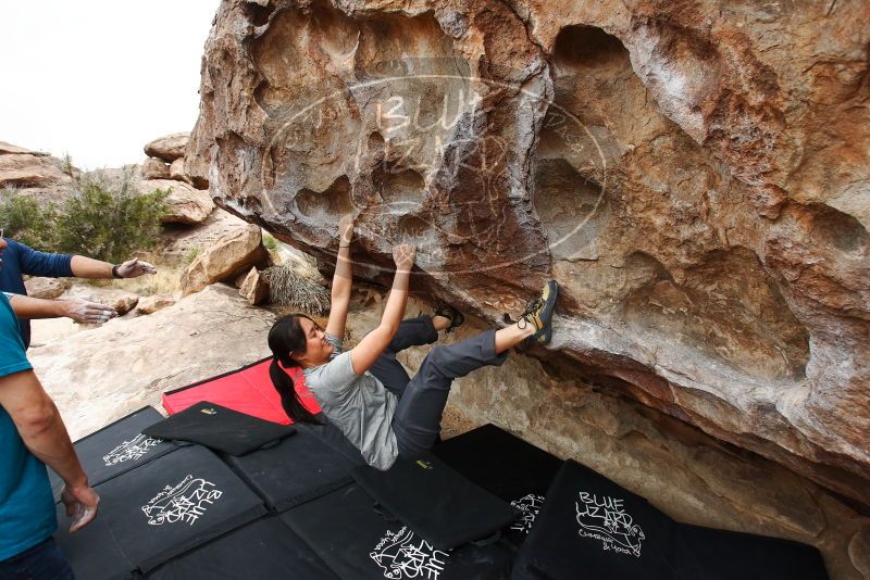 Bouldering in Hueco Tanks on 03/08/2019 with Blue Lizard Climbing and Yoga

Filename: SRM_20190308_1334590.jpg
Aperture: f/5.6
Shutter Speed: 1/400
Body: Canon EOS-1D Mark II
Lens: Canon EF 16-35mm f/2.8 L