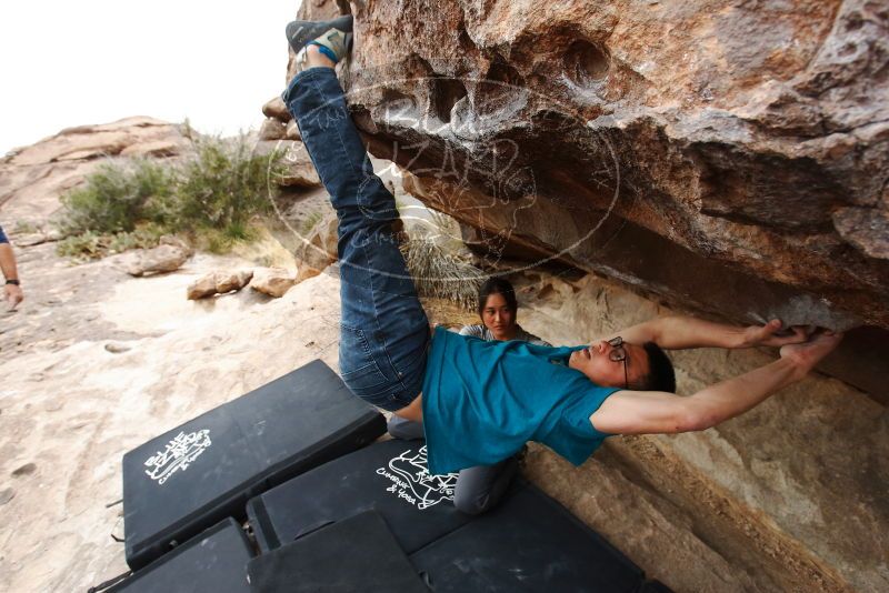 Bouldering in Hueco Tanks on 03/08/2019 with Blue Lizard Climbing and Yoga

Filename: SRM_20190308_1349360.jpg
Aperture: f/5.6
Shutter Speed: 1/320
Body: Canon EOS-1D Mark II
Lens: Canon EF 16-35mm f/2.8 L