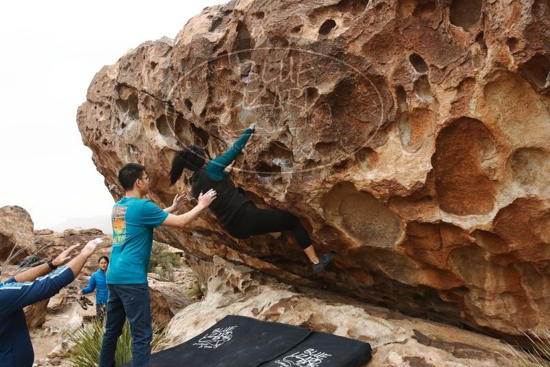 Bouldering in Hueco Tanks on 03/08/2019 with Blue Lizard Climbing and Yoga

Filename: SRM_20190308_1411070.jpg
Aperture: f/5.6
Shutter Speed: 1/400
Body: Canon EOS-1D Mark II
Lens: Canon EF 16-35mm f/2.8 L