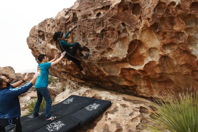 Bouldering in Hueco Tanks on 03/08/2019 with Blue Lizard Climbing and Yoga

Filename: SRM_20190308_1411120.jpg
Aperture: f/5.6
Shutter Speed: 1/400
Body: Canon EOS-1D Mark II
Lens: Canon EF 16-35mm f/2.8 L