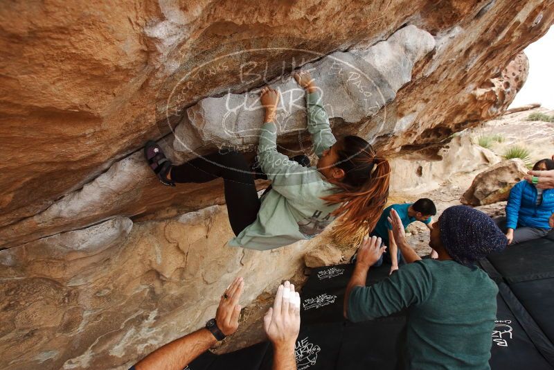 Bouldering in Hueco Tanks on 03/08/2019 with Blue Lizard Climbing and Yoga

Filename: SRM_20190308_1433390.jpg
Aperture: f/5.6
Shutter Speed: 1/250
Body: Canon EOS-1D Mark II
Lens: Canon EF 16-35mm f/2.8 L